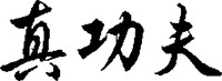 ZHEN GONG FU.