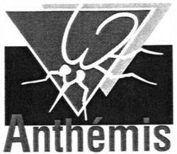 Anthemis