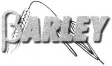 BARLEY