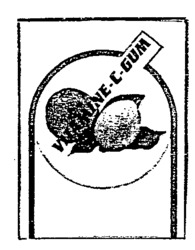 VITAMINE-C-GUM