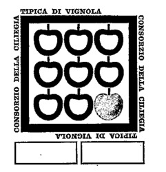 CONSORZIO DELLA CILIEGIA TIPICA DI VIGNOLA