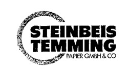 STEINBEIS TEMMING