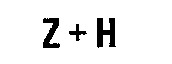 Z+H
