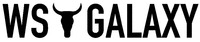 WS GALAXY