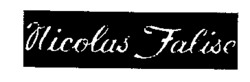 Nicolas Falise