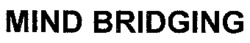 MIND BRIDGING