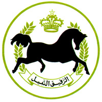 ARRAFIQ ANNABIL.
