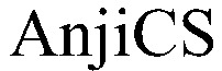 AnjiCS