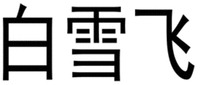 BAI XUE FEI