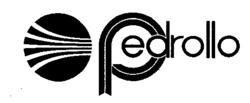Pedrollo