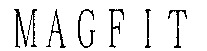 MAGFIT