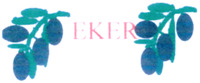 EKER