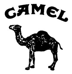CAMEL