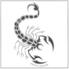 PROFITNESS