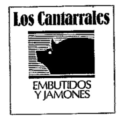 Los Cantarrales