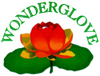 WONDERGLOVE
