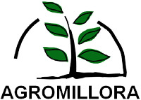 AGROMILLORA