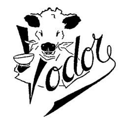 Vodor