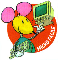 MICRO FACILE
