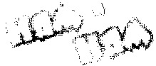 nym-nym