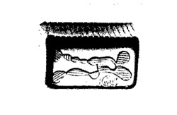 LS