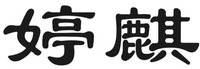 Ting Qi