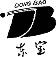 DONG BAO