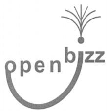 open bizz
