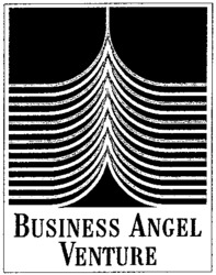 BUSINESS ANGEL VENTURE