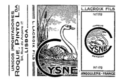 CYSNE