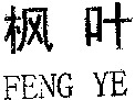 FENG YE