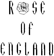 ROSE OF ENGLAND