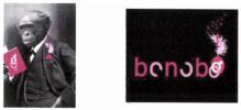 bonobo