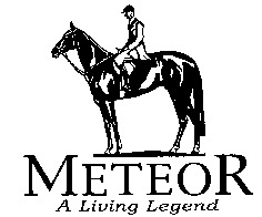 METEOR A Living Legend