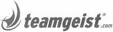 teamgeist.com