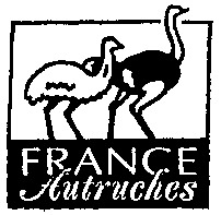 FRANCE Autruches