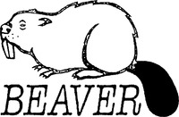 BEAVER