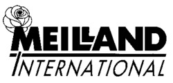 MEILLAND INTERNATIONAL