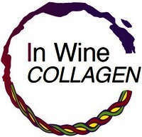 In Wine COLLAGEN