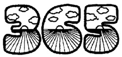 365