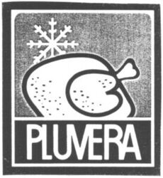 PLUVERA