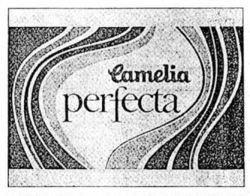 Camelia perfecta