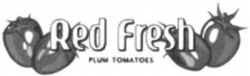 Red Fresh PLUM TOMATOES