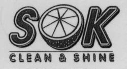 SOK CLEAN & SHINE