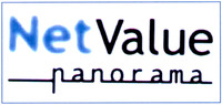 NetValue panorama
