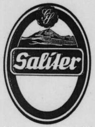 GS Saliter
