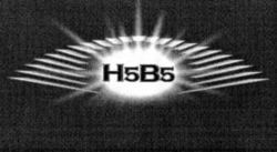 H5B5
