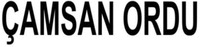 ÇAMSAN ORDU