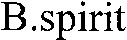 B.spirit