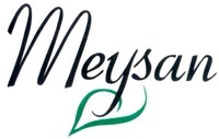 Meysan